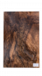 Preview: Body European Walnut 1-pc. Unique-Piece #025